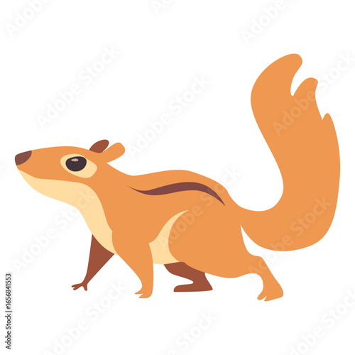 Chipmunk animals
