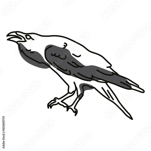 Color stroke semi colored raven