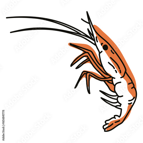 Color stroke semi colored shrimp