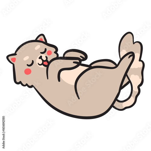Cute cat stroke washes