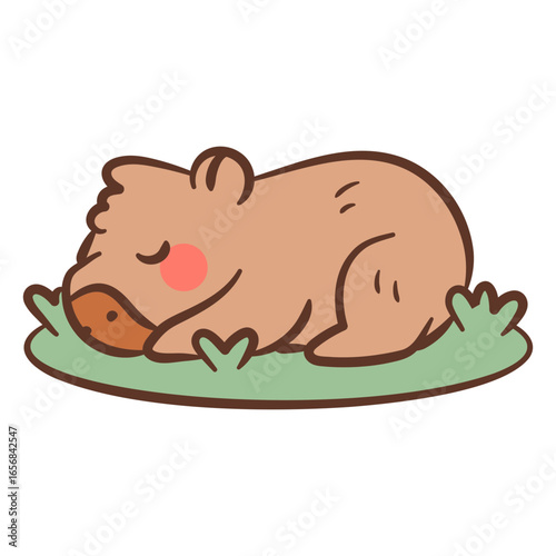 Cute sleeping wombat illustration