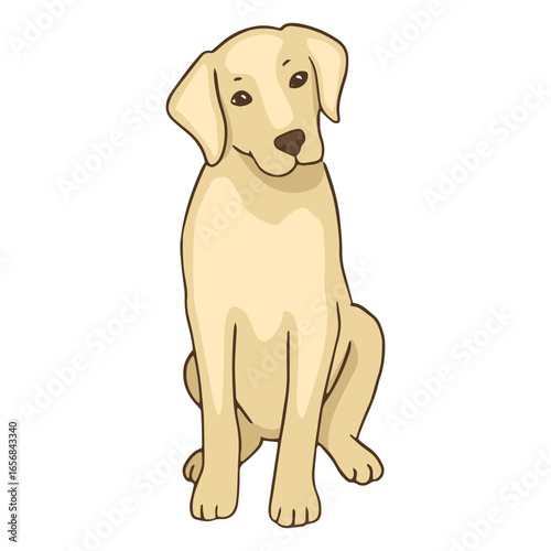 Golden retriever sitting dog