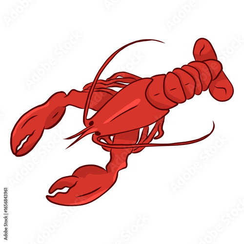 Lobster claw antenna tail illustration