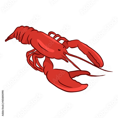 Lobster antenna claw tail illustration