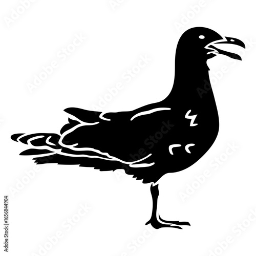 Seagull bird cut out