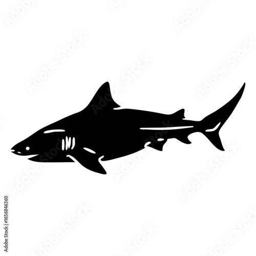 White shark cut out