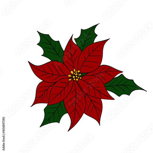 Beautiful red poinsettia flower, traditional Christmas plant symbol of the holiday season. Festive winter illustration greeting cards, invitations, decorations, posters, clipart