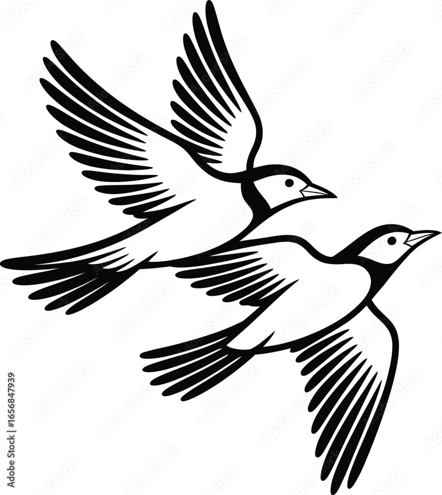 Obraz premium Elegant black and white vector illustration of two birds in flight.