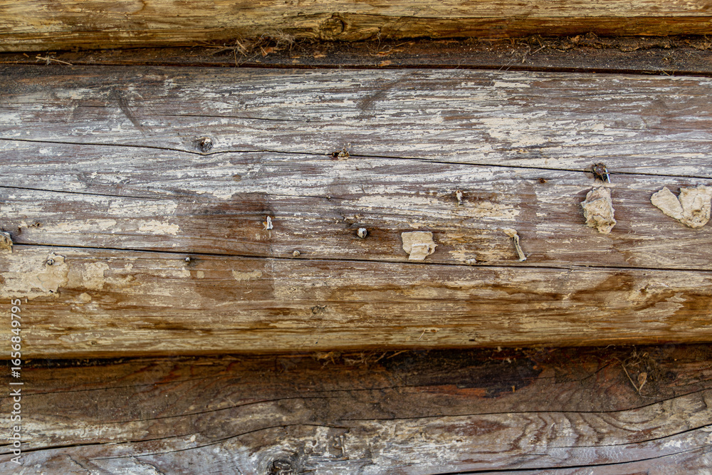Naklejka premium Close up of weathered wooden logs reveals cracked, aged surfaces with peeling paint. Texture highlights natural decay, wood grain, and rustic character, emphasizing aged construction materials.