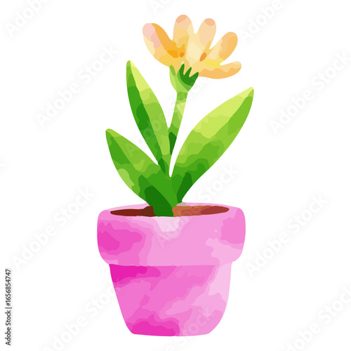 Plant watercolor flowerpot