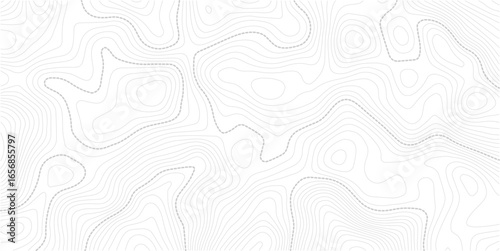 Background of the topographic map. Topographic lines texture. Topographic lines, contour background. topo map texture