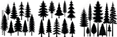 Silhouette of Evergreen Trees Set on White Background,Pine fir tree tall tree isolated premium vector image, black and white tree silhouettes,coniferous trees, pine trees,fir trees silhouettes set,Ai