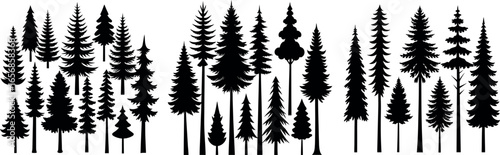 Silhouette of Evergreen Trees Set on White Background,Pine fir tree tall tree isolated premium vector image, black and white tree silhouettes,coniferous trees, pine trees,fir trees silhouettes set,Ai