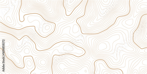 Topographic map background. Golden line topography map contour background