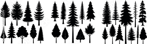 Silhouette of Evergreen Trees Set on White Background,Pine fir tree tall tree isolated premium vector image, black and white tree silhouettes,coniferous trees, pine trees,fir trees silhouettes set,Ai