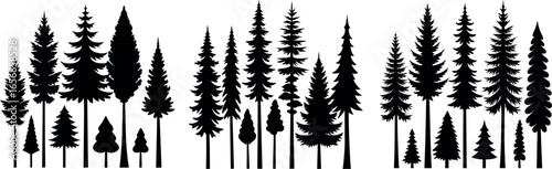 Silhouette of Evergreen Trees Set on White Background,Pine fir tree tall tree isolated premium vector image, black and white tree silhouettes,coniferous trees, pine trees,fir trees silhouettes set,Ai