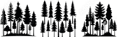 Silhouettes of Pine and Fir Trees in a Natural Forest Setting – Vector Design	
