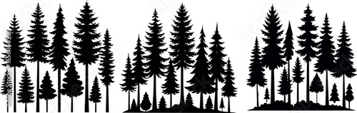 Forest of Christmas fir trees silhouette. Coniferous spruce panorama. Park of evergreen wood. Vector on white background