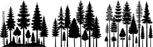 Forest of Christmas fir trees silhouette. Coniferous spruce panorama. Park of evergreen wood. Vector on white background