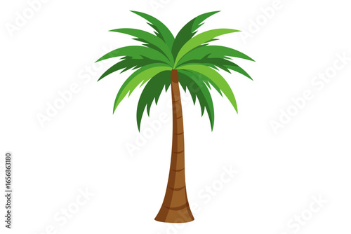 Vibrant green palm tree with lush fronds evokes tropical paradise and summer vacation dreams, perfect for travel and lifestyle projects