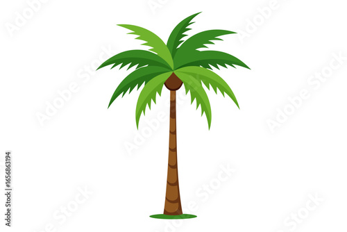 Vibrant tropical palm tree with lush green fronds evokes sunny beach paradise and exotic vacation dreams, perfect for summer designs.