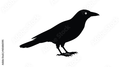 Crow bird perched in silhouette illustration ideal for gothic, nature, and wildlife themed graphics Vector illustration on white background.