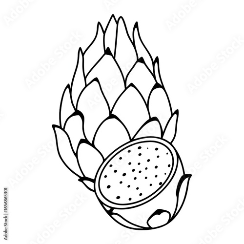 Dragon fruit exotic tropical fruit illustration highlighting spiky skin and inner flesh details white and black illustration
