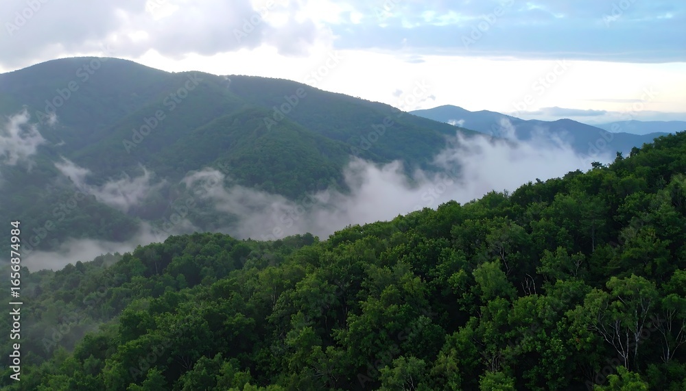 Fototapeta premium Misty Mountain Landscape: Serene Valley View