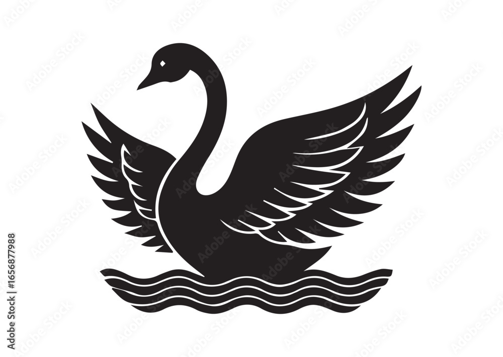 Fototapeta premium Swan on water with wings spread out black vector white background