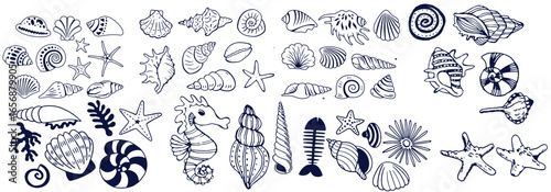 Seashells set or mollusca different forms. sea creature. engraved hand drawn in old sketch, vintage style. nautical or marine, monster or food. animals in the ocean