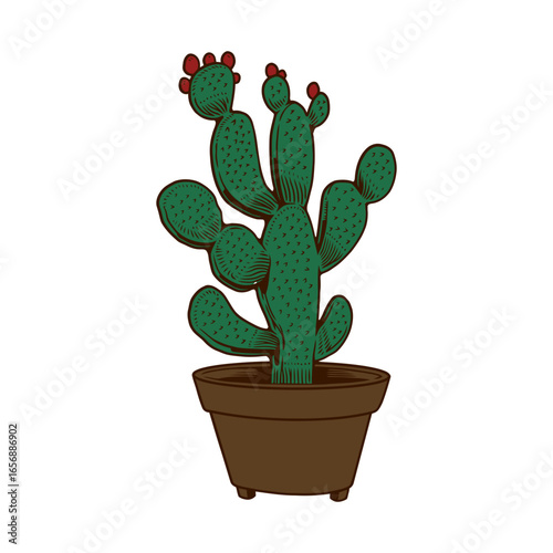 Green prickly pear cactus with red fruit in a brown pot in a stylized graphic illustration style