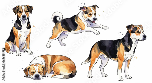 Watercolor dog illustration “Max” pet portrait isolated on white background
