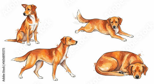Watercolor dog illustration “Ginger” pet portrait isolated on white background