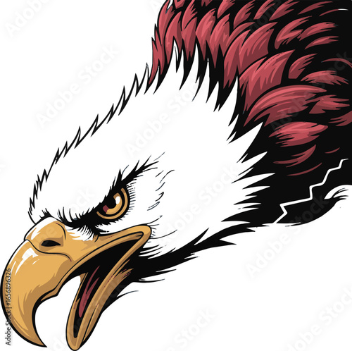 Bald Eagle Head with Open Beak on White Background Illustration bird raptor