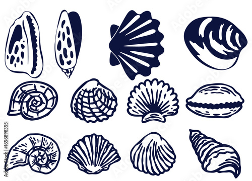 Seashells set or mollusca different forms. sea creature. engraved hand drawn in old sketch, vintage style. nautical or marine, monster or food. animals in the ocean