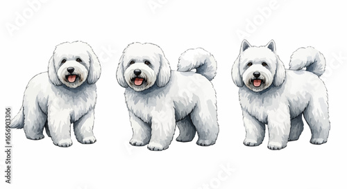 Watercolor dog illustration “Snowy” pet portrait isolated on white background