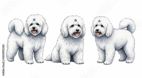 Watercolor dog illustration “Snowy” pet portrait isolated on white background