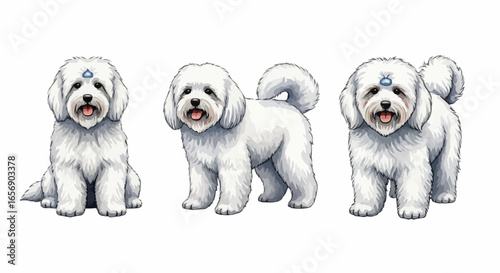 Watercolor dog illustration “Snowy” pet portrait isolated on white background