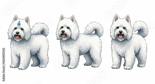 Watercolor dog illustration “Snowy” pet portrait isolated on white background