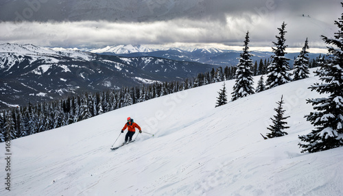 Le ski alpin en hiver dans la montagne