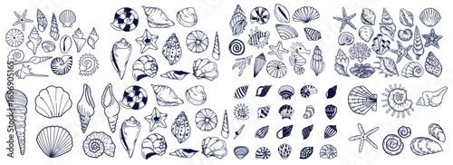 Seashells set or mollusca different forms. sea creature. engraved hand drawn in old sketch, vintage style. nautical or marine, monster or food. animals in the ocean