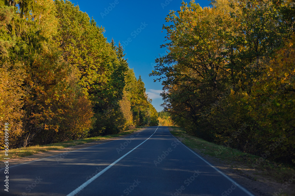 Naklejka premium Autumn landscape and sunny evening, orange road and highway, asphalt and roadside.