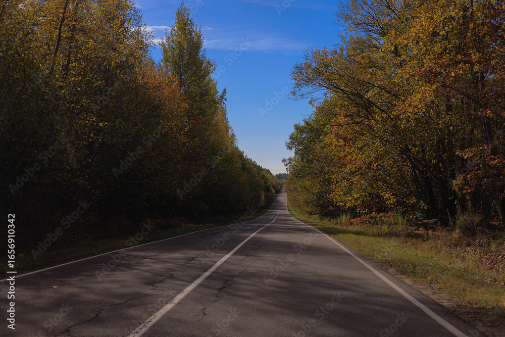 Fototapeta premium Autumn landscape and sunny evening, orange road and highway, asphalt and roadside.