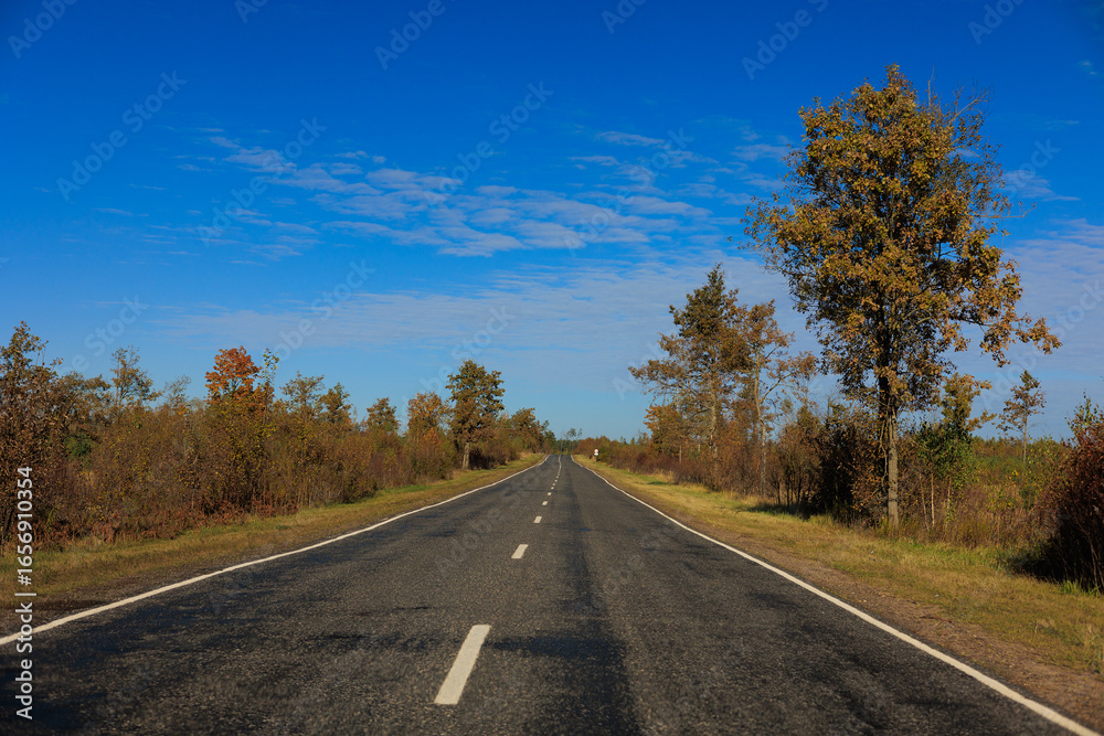 Fototapeta premium Autumn landscape, road and highway, asphalt and roadside.