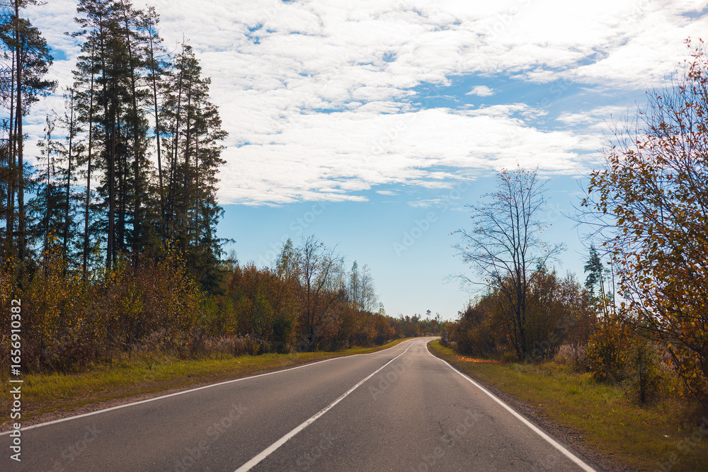 Fototapeta premium Autumn landscape and sunny evening, orange road and highway, asphalt and roadside.