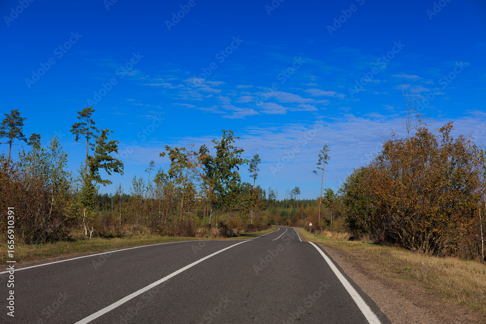Fototapeta premium Autumn landscape, road and highway, asphalt and roadside.