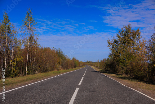 Autumn landscape and sunny evening, orange road and highway, asphalt and roadside.