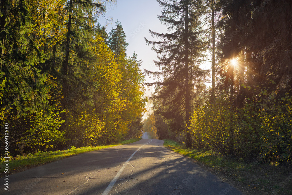 Fototapeta premium Autumn landscape and sunny evening, orange road and highway, asphalt and roadside.
