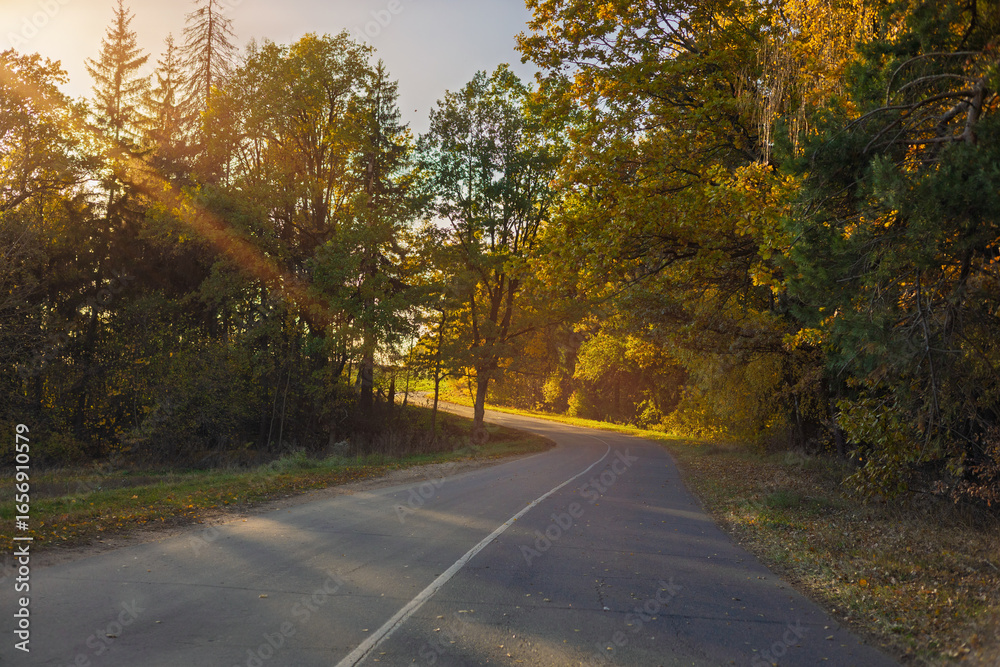 Fototapeta premium Autumn landscape and sunny evening, orange road and highway, asphalt and roadside.