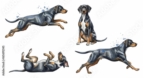 Watercolor dog illustration “Gunner” pet portrait isolated on white background